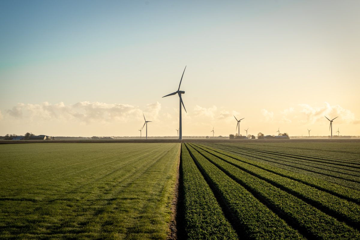 wind-energie-unsplash